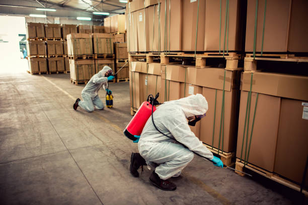 Best Local Pest Control Services  in Waymart, PA