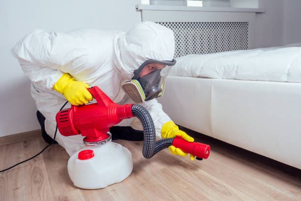 Best Emergency Pest Control  in Waymart, PA